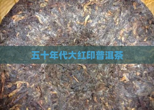 五十年代大红印普洱茶