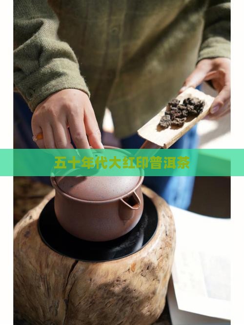 五十年代大红印普洱茶