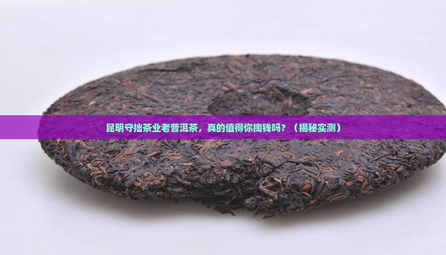 昆明守拙茶业老普洱茶
