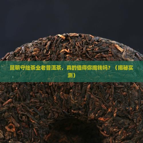 昆明守拙茶业老普洱茶
