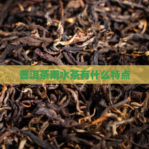 普洱茶雨水茶有什么特点
