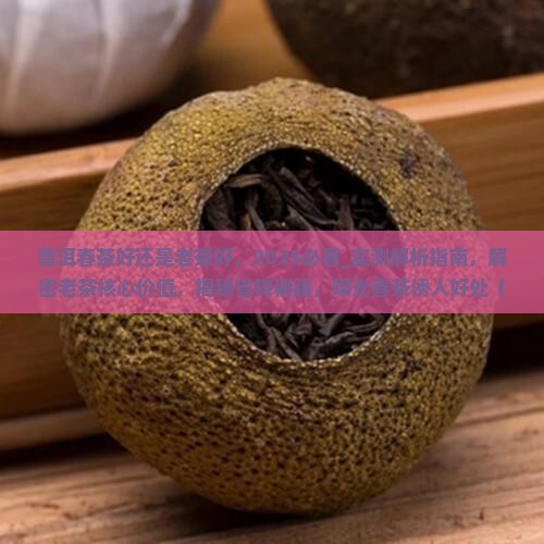 普洱春茶好还是老茶好