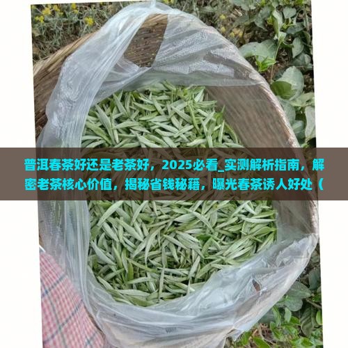 普洱春茶好还是老茶好