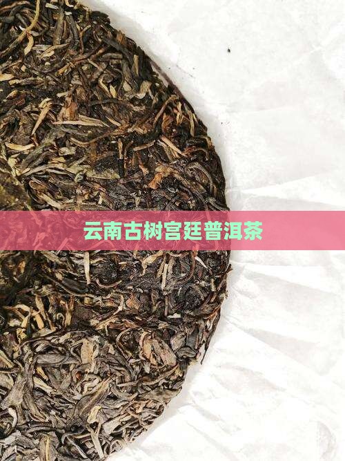 云南古树宫廷普洱茶