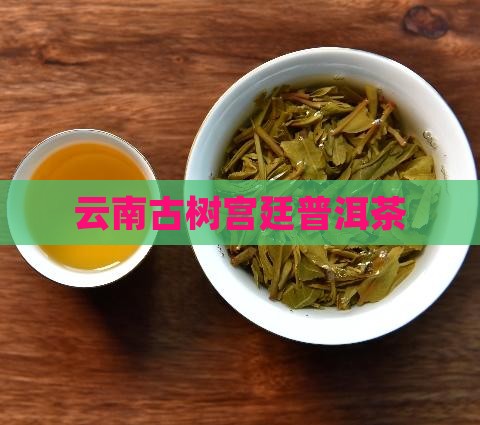 云南古树宫廷普洱茶