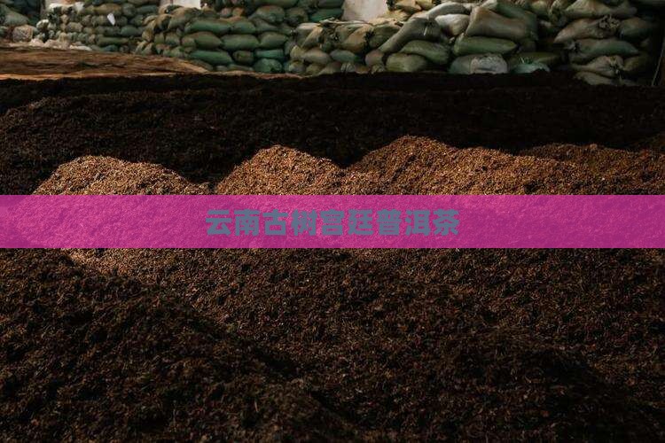 云南古树宫廷普洱茶