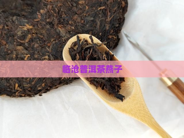 临沧普洱茶燕子