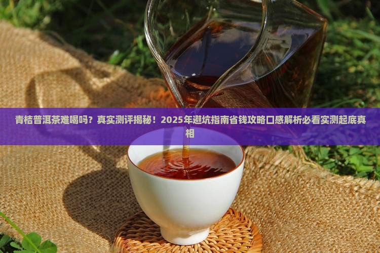 青桔普洱茶难喝吗