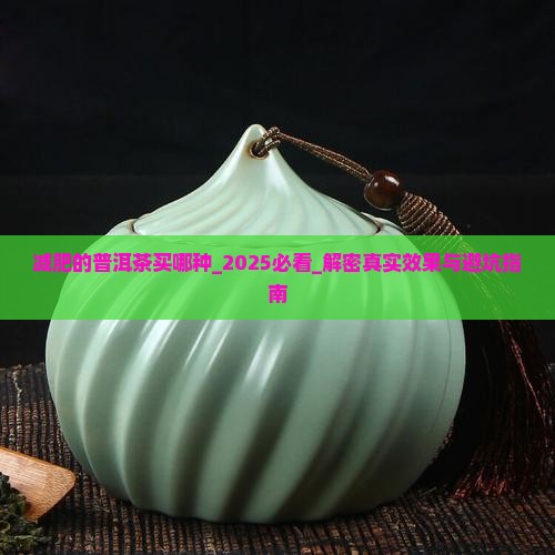 减肥的普洱茶买哪种