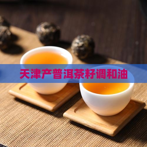 天津产普洱茶籽调和油