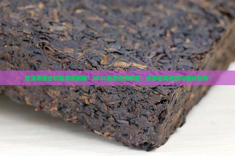 普洱茶港仓辨别资料