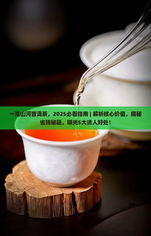 一览山河普洱茶