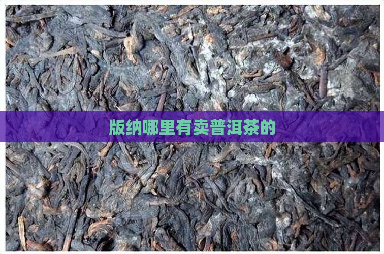 版纳哪里有卖普洱茶的