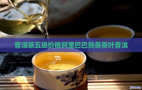 普洱茶5级多钱
