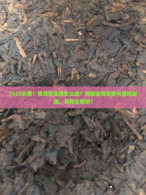 怎样选普洱茶品牌推荐的