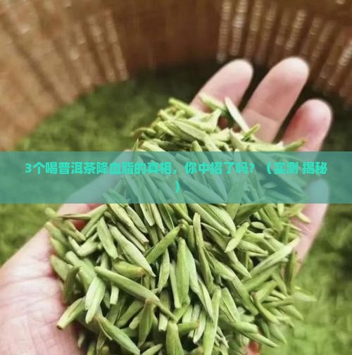 普洱茶降血脂无敌