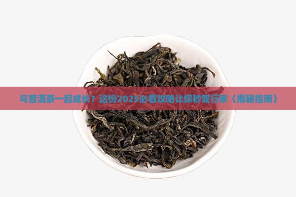 与普洱茶一起成长
