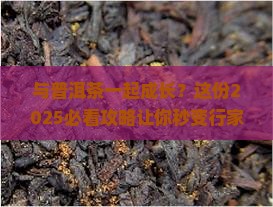 与普洱茶一起成长