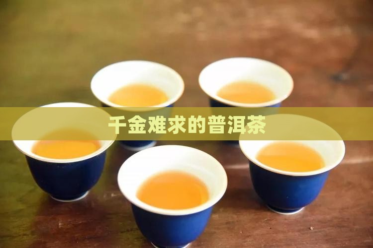 千金难求的普洱茶
