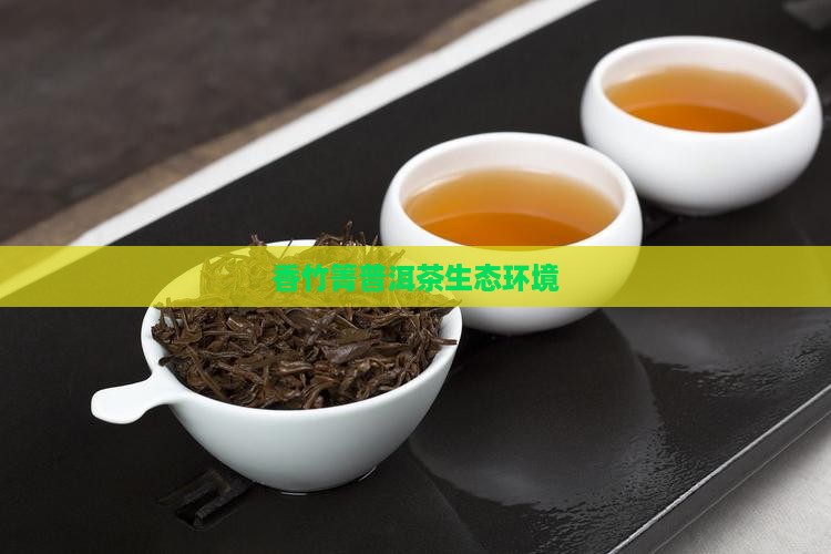 香竹箐普洱茶生态环境