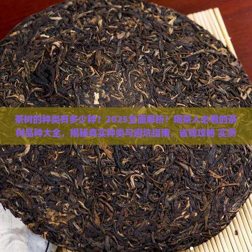 茶树的种类有多少种