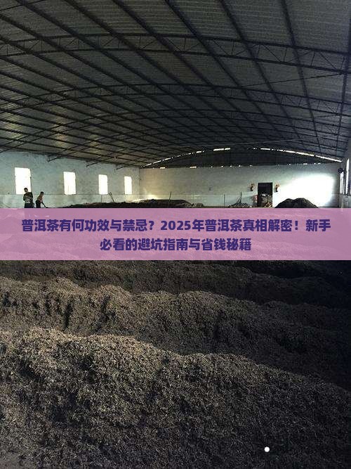 普洱茶有何功效与禁忌