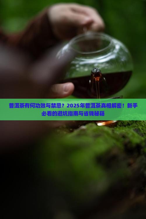 普洱茶有何功效与禁忌