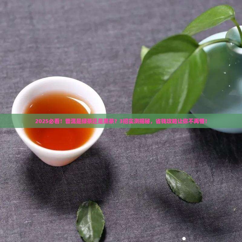 普洱属于绿茶还是黑茶