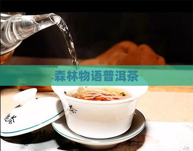 森林物语普洱茶