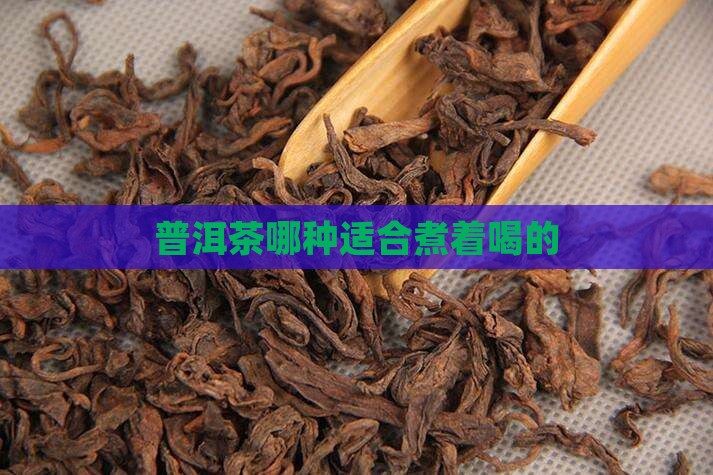 普洱茶哪种适合煮着喝的