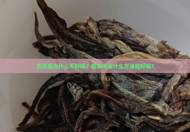 普洱茶泡不好喝