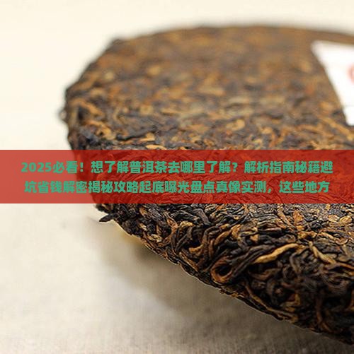 想了解普洱茶去哪里了解