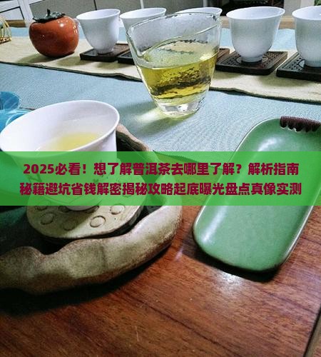 想了解普洱茶去哪里了解