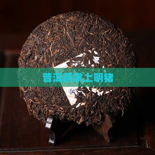 普洱茶掌上明猪