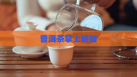 普洱茶掌上明猪