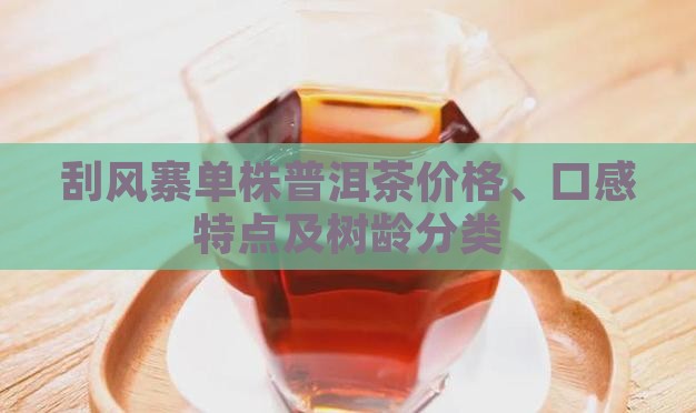 刮风寨单株普洱茶