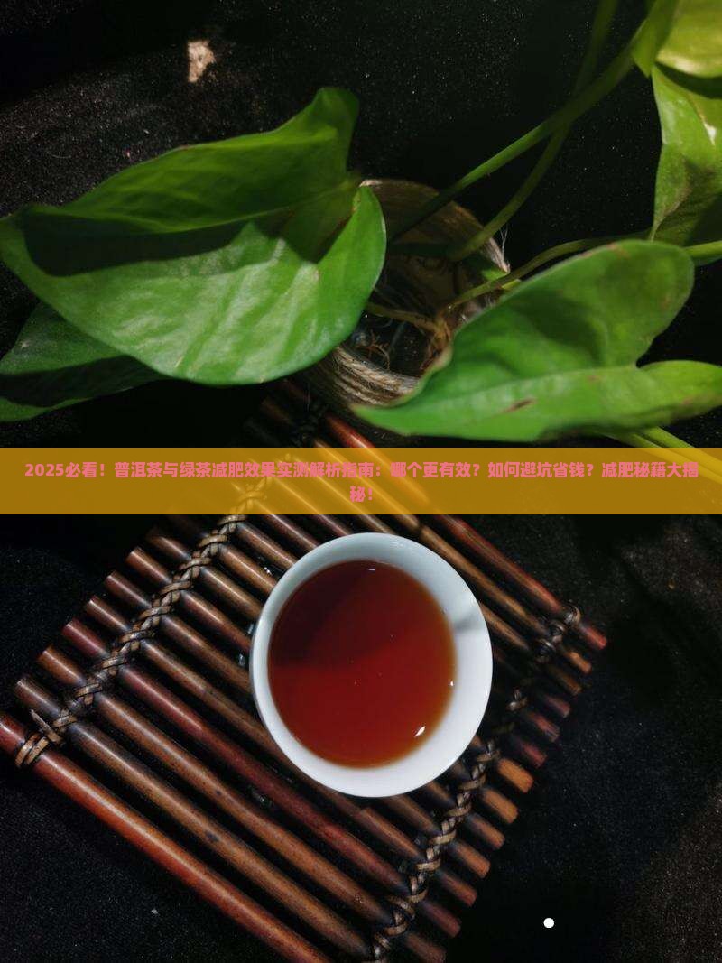 普洱茶绿茶哪个减肥效果好