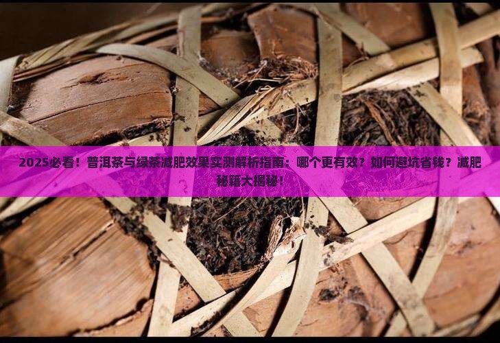 普洱茶绿茶哪个减肥效果好