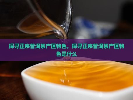 探寻正宗普洱茶产区特色