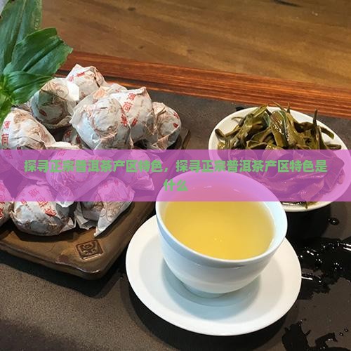 探寻正宗普洱茶产区特色
