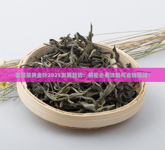普洱茶黄金叶发展趋势