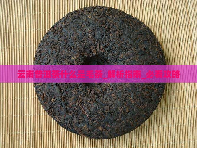 云南普洱茶什么是毛茶