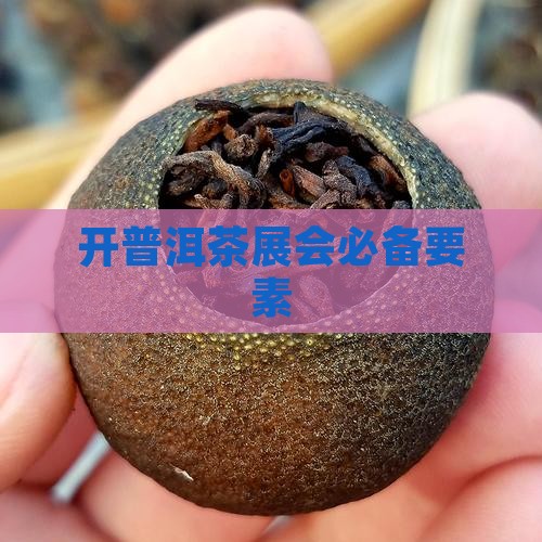 开普洱茶展会具备什么