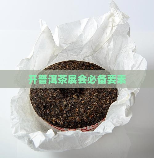 开普洱茶展会具备什么