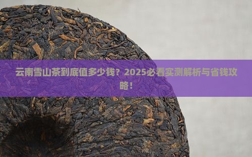 云南雪山茶售价是多少钱