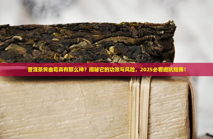普洱茶黄曲霉的功效