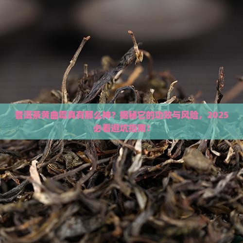 普洱茶黄曲霉的功效