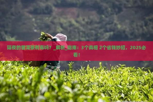 隔夜的普洱茶有毒吗