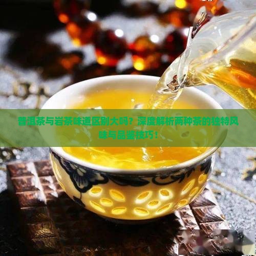 普洱茶与岩茶味道区别大吗