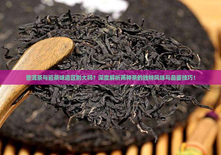 普洱茶与岩茶味道区别大吗